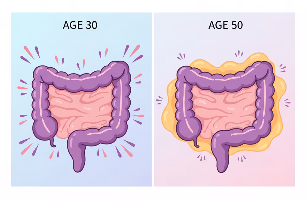 Vergleich: GLP-1-Aktivität mit 30 Jahren versus mit 50 Jahren